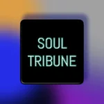 Soul Tribune Digital Agency Logo(1)