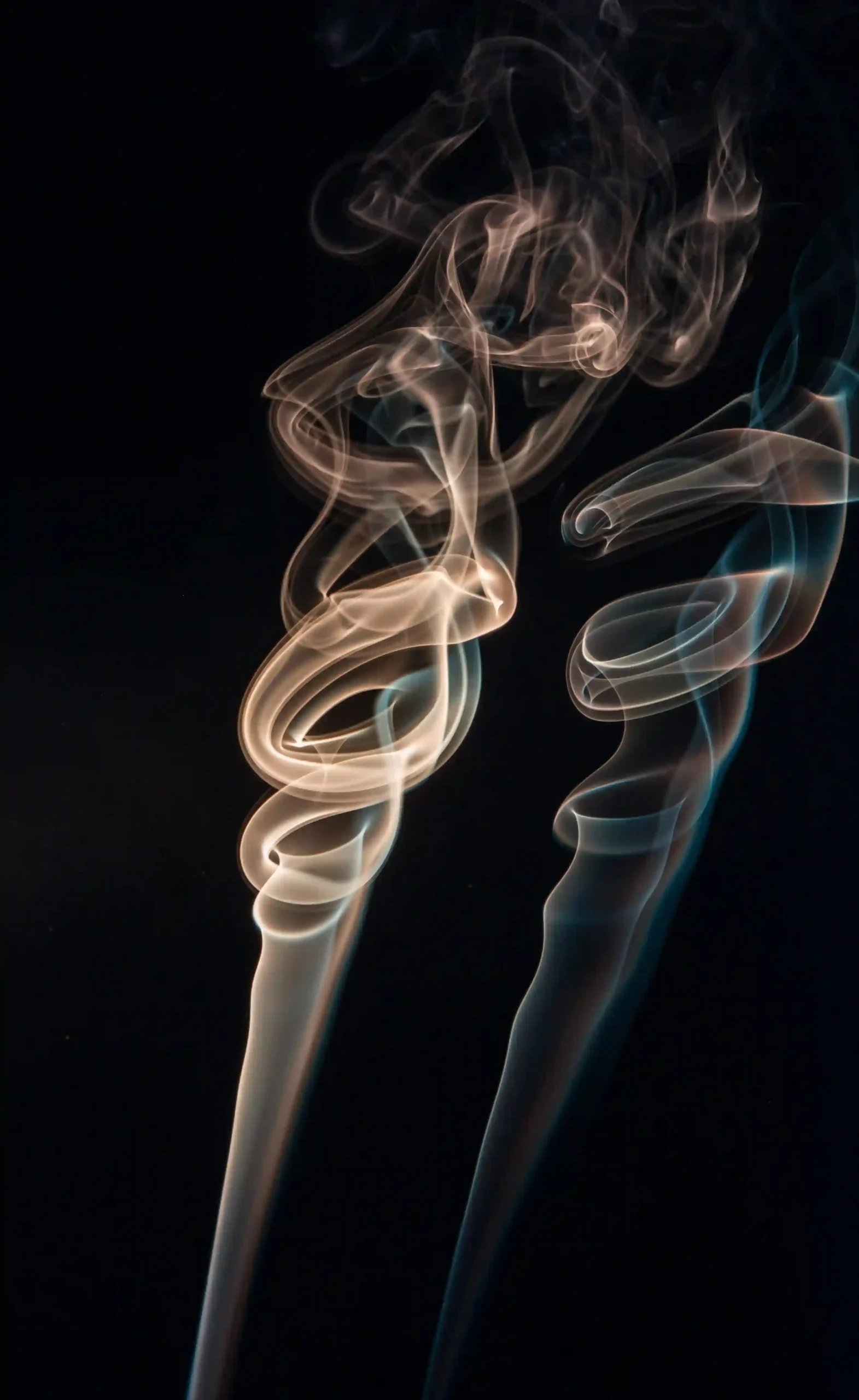 Soul Tribune - D.I.Y. Incense.webp3