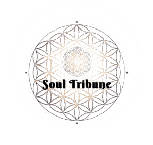 Soul Tribune logo